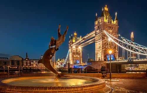 Girl With The Dolphin