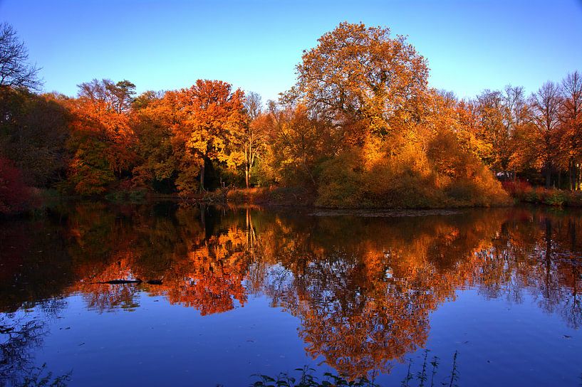 herfstvijver van Edgar Schermaul