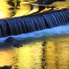 golden waterfall - gouden waterval van lieve maréchal