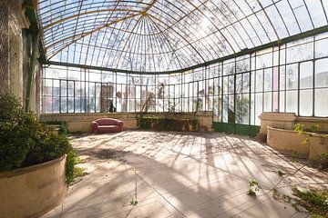 Abandoned Greenhouse.