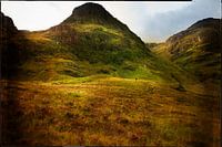 walker in colourful Scotland