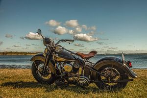 harley davidson van anne droogsma