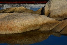 AM MEER 1 von Miroslav Ptacek