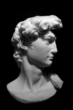 Michelangelo's David: Een Iconisch Meesterwerk in Zwart-Wit van I love you David
