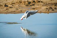 On the beach by Jeroen Smit thumbnail
