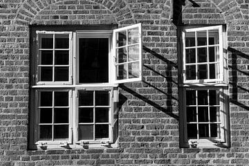 windows von Berthold Ambros