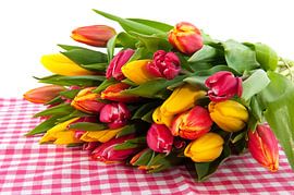 Tulpenstrauss auf kariertem Hintergrund von Ivonne Wierink