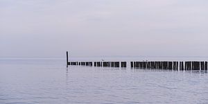 Panorama der Wellenbrecher im Meer bei Nieuwvliet, Zeeland