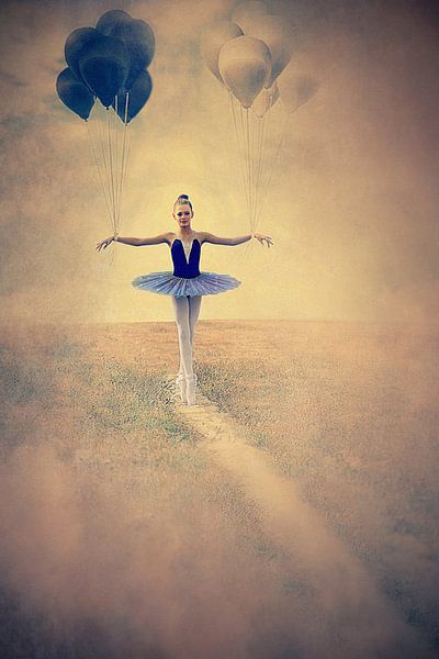 BALANS VAN HET LEVEN van Adela  Lia Rusu