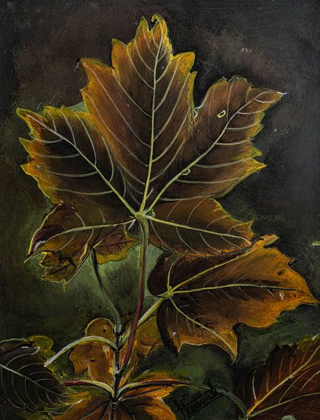 Wilde veldbloemen van Henk Goossens