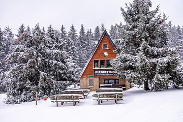 Eerste winterwandeling door het besneeuwde Thüringer Woud bij Tambach-Dietharz - Thüringen - Duitsland van Oliver Hlavaty