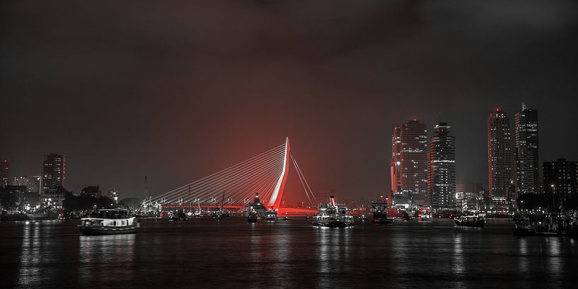 Erasmus Bridge  by John Ouwens