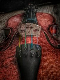 close up old violin by Creativiato Shop