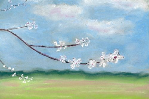 First blossoms – Pieterpad