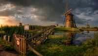 Kinderdijk