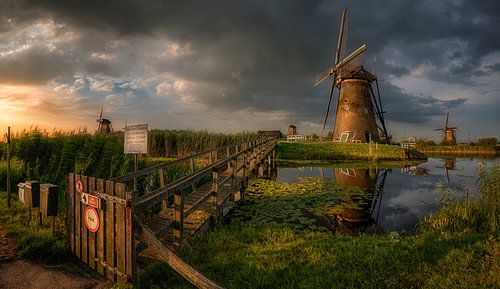 Kinderdijk
