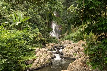 Gitgit Waterval, Bali, Indonesië van Peter Schickert