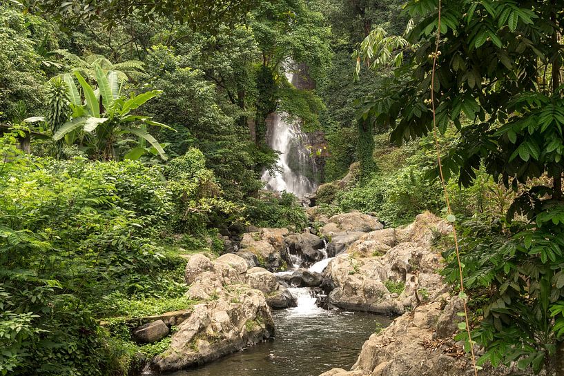 Gitgit Waterfall, Bali, Indonesia by Peter Schickert
