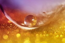 Mystery world in a marble sur Kvinne Fotografie