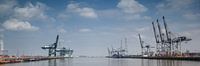 harbour
