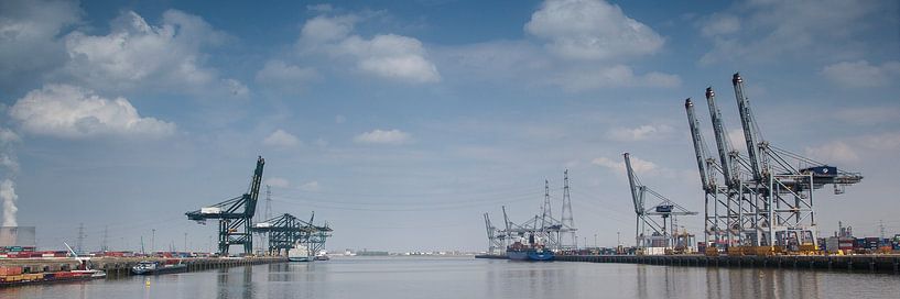 harbour by jan koelewijn fotografie