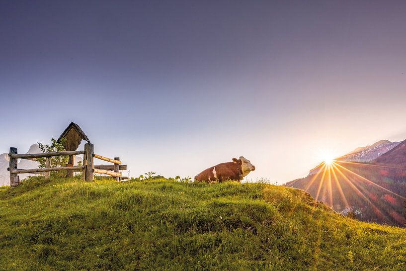 Zonsopgang op de alp van Marika Hildebrandt FotoMagie