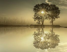 The silence of nature by Clifton Buitink