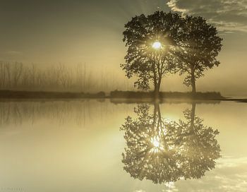 The silence of nature