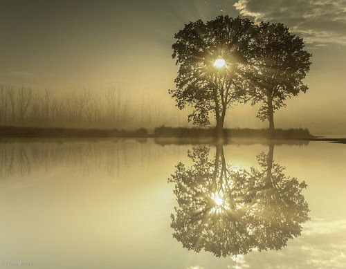 The silence of nature