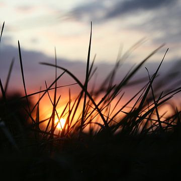 Sunset by Pien Zweverink