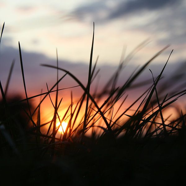Sonnenuntergang von Pien Zweverink