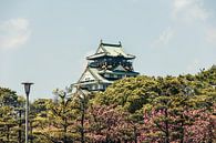 Kasteel van Osaka tijdens de kersenbloesem, Japan van Expeditie Aardbol thumbnail