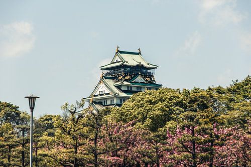 Kasteel van Osaka tijdens de kersenbloesem, Japan
