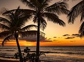 Zonsondergang op tropisch eiland Guadeloupe. van Ron van der Stappen thumbnail