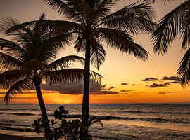 Coucher de soleil sur l'île tropicale de la Guadeloupe. sur Ron van der Stappen