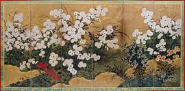 Chrysanthemums and Autumnal Plants