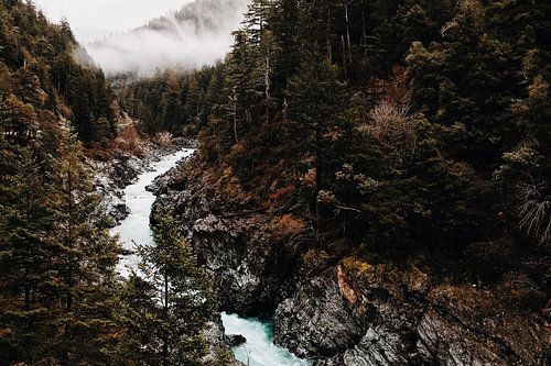 Forest River