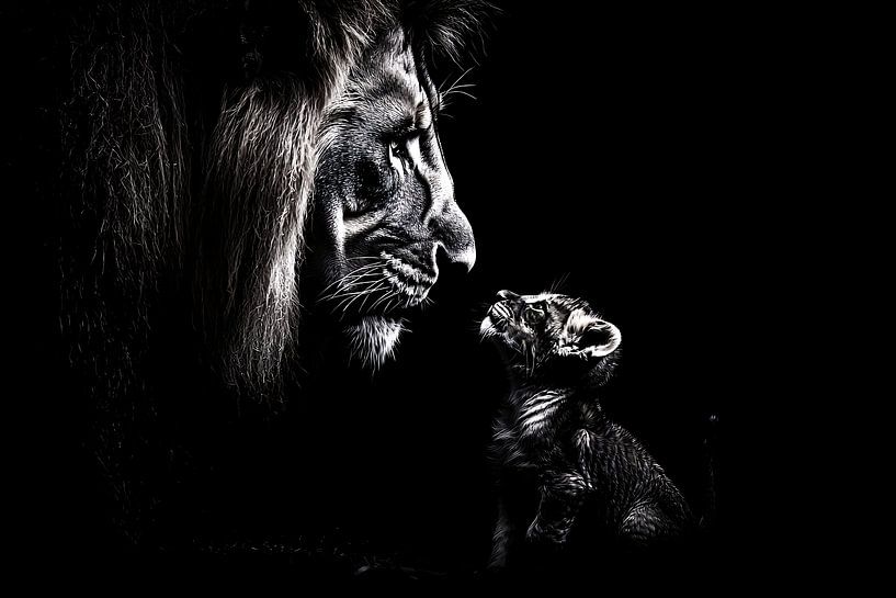 Lion and Cub in Black and White by Art & Soul Creations