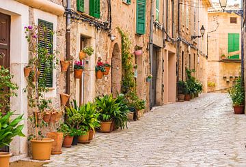Majorca, plant street in the old village Valldemossa,Spain by Alex Winter
