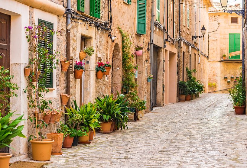 Mallorca, plantenstraat in het oude dorp Valldemossa,Spanje van Alex Winter