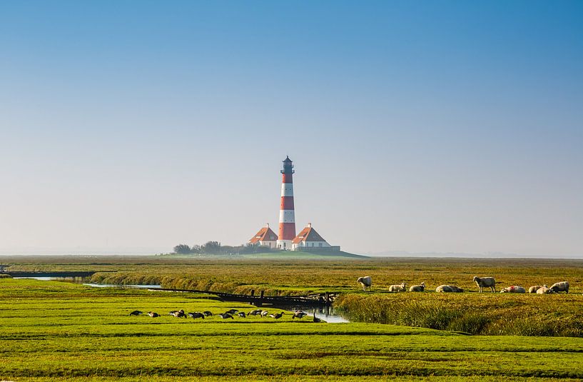 Homeland Westerhever by Ursula Reins