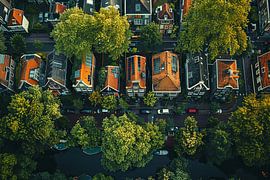 aerial photography over land