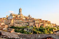 Skyline Siena in warm evening light