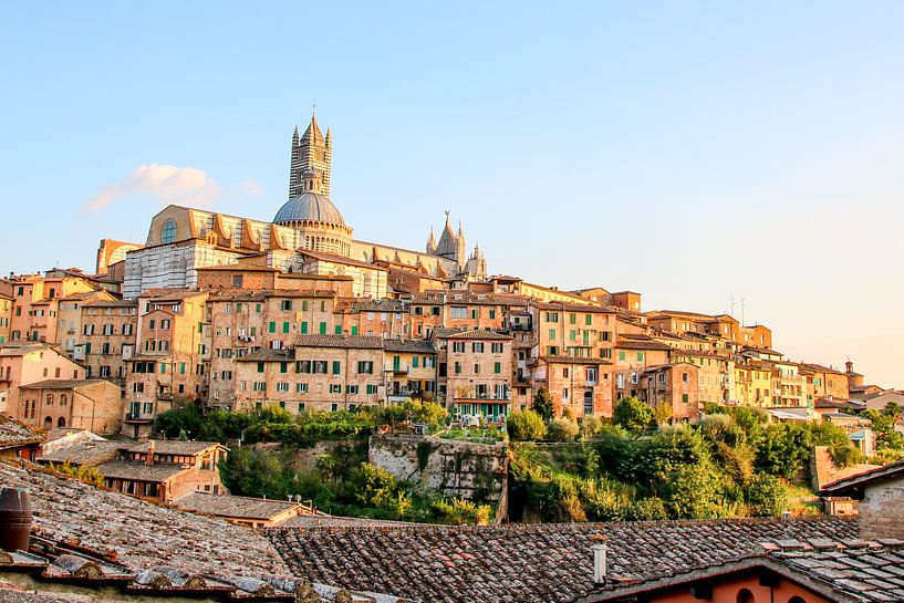 Skyline Siena in warm evening light by The Book of Wandering