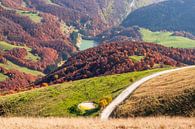 View from Monte Baldo by Severin Frank Fotografie thumbnail