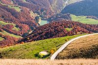 View from Monte Baldo