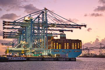 APM Terminals Maasvlakte te Rotterdam 2 van Vincent Verdoold Photography