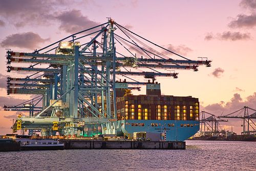 APM Terminals Maasvlakte in Rotterdam 2 von Vincent Verdoold Photography