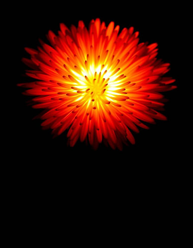 „Ember Allium VII“