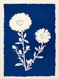 Weiße Blumen auf Blau von Thea